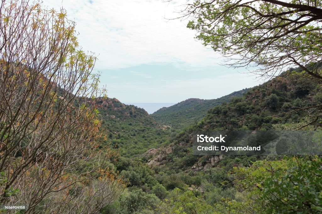 the mountainous hiking area around cardedu in sardinia